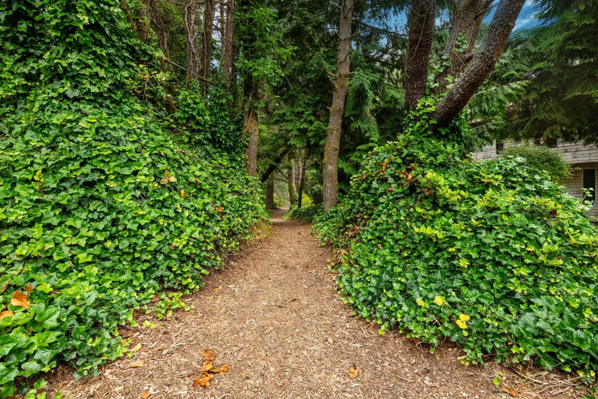 A tranquil outdoor pathway winds through vibrant greenery and tall trees, leading towards what could be the nearby beach. The secluded path promises easy and peaceful access to the coastline, reinforcing the connection to nature and adventure.